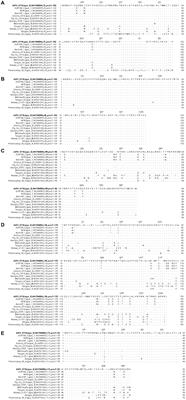Identification of L11L and L7L as virulence-related genes in the African swine fever virus genome
